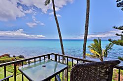 Polynesian Shores #201