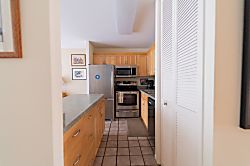 Turtle Bay Sea Shells