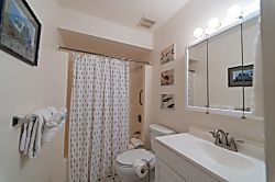 Turtle Bay Sea Shells