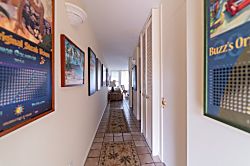 Turtle Bay Sea Shells