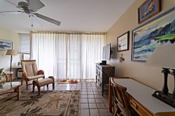 Turtle Bay Sea Shells