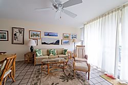 Turtle Bay Sea Shells