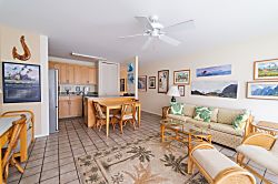 Turtle Bay Sea Shells