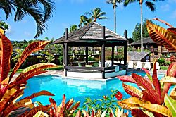 Turtle Bay Sea Shells