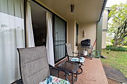 Turtle Bay Sea Shells