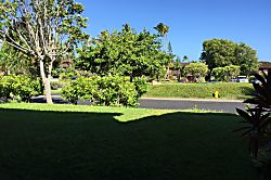 Turtle Bay Sea Shells