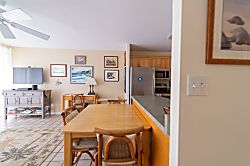 Turtle Bay Sea Shells