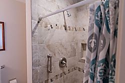 Turtle Bay Sea Shells