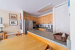 Turtle Bay Sea Shells