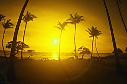 Kapaa Shore Resort #106