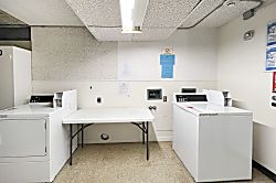 Waikiki Banyan #2608-T2