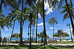 Kuhio Village Towers #1