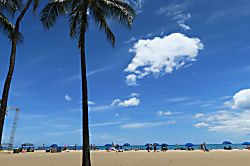 Kuhio Village Towers #1