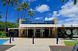 Kuhio Village Towers #1