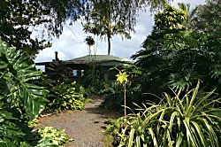 Entabeni Cottage