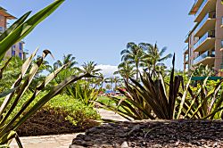 Honua Kai Resort and Spa K139