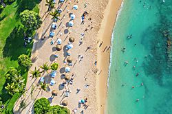 Ocean Villas at Turtle Bay 105 - Beach