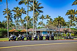 Ocean Villas at Turtle Bay 105