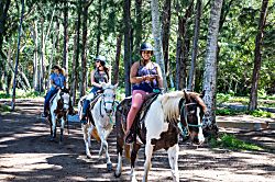 Ocean Villas at Turtle Bay 105