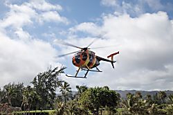 Ocean Villas at Turtle Bay 105