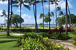 Ocean Villas at Turtle Bay 105