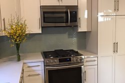 Volcano Forest House