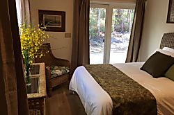 Volcano Forest House