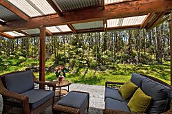 Volcano Forest House