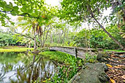 5 Star Black Sand Beach Condo