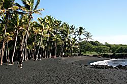5 Star Black Sand Beach Condo