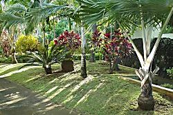 Prince Kuhio Studio 302