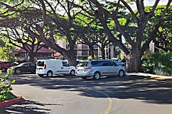 Papakea Resort D-303