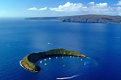 Papakea Resort D-303