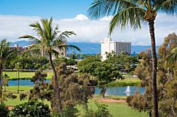 Kaanapali Royal #L301