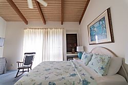 Turtle Bay Hale Lilly