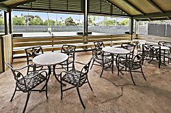 Turtle Bay Hale Lilly