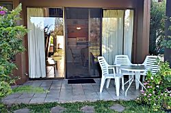 Turtle Bay Hale Lilly