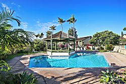 Turtle Bay Hale Lilly