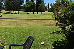 Turtle Bay Hale Lilly