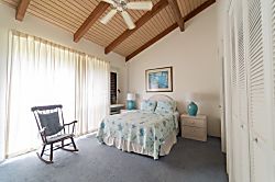 Turtle Bay Hale Lilly