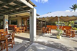 Turtle Bay Hale Lilly