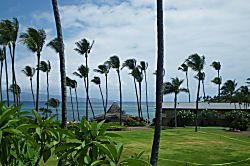 Napili Shores Resort H-167