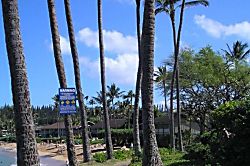 Napili Shores Resort H-167