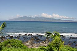 Napili Shores Resort  I-173