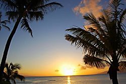 Napili Shores Resort  I-173