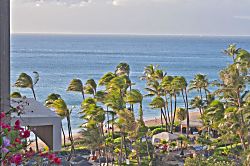 Kaanapali Alii #2104