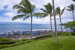 Napili Shores Resort I-273