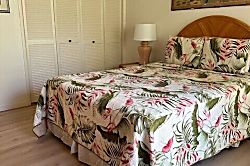 Turtle Bay Deep Blue