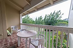 Turtle Bay Deep Blue