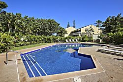 Turtle Bay Deep Blue